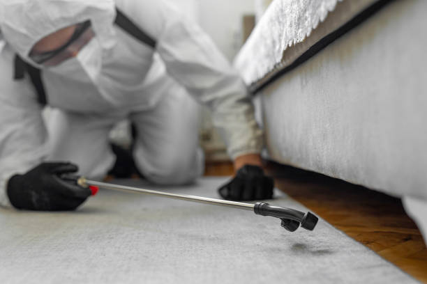 Professional Termite Control technician working in Aldine, TX