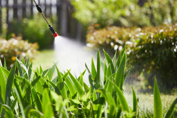 24/7 Emergency Termite Control experts in Aldine, TX