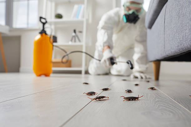 Affordable Termite Control solutions in Aldine, TX